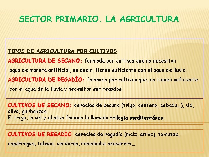 SECTOR PRIMARIO. LA AGRICULTURA TIPOS DE AGRICULTURA POR CULTIVOS AGRICULTURA DE SECANO: formada por