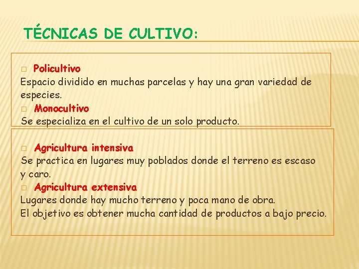 TÉCNICAS DE CULTIVO: Policultivo Espacio dividido en muchas parcelas y hay una gran variedad