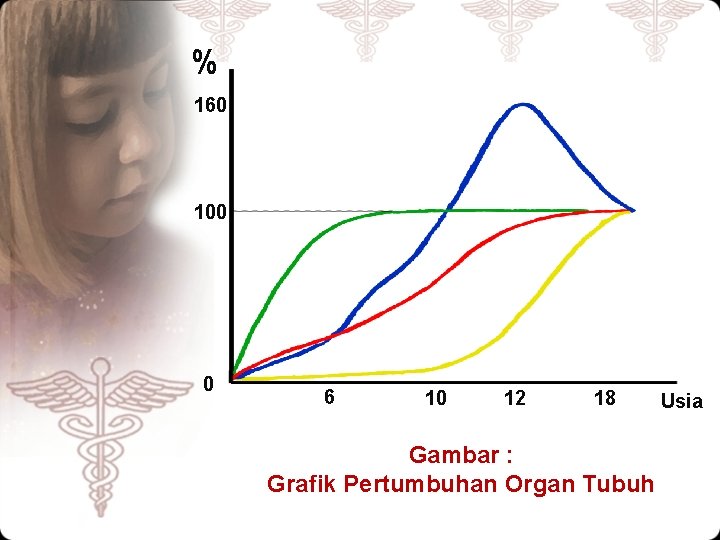 % 160 100 0 6 10 12 18 Gambar : Grafik Pertumbuhan Organ Tubuh