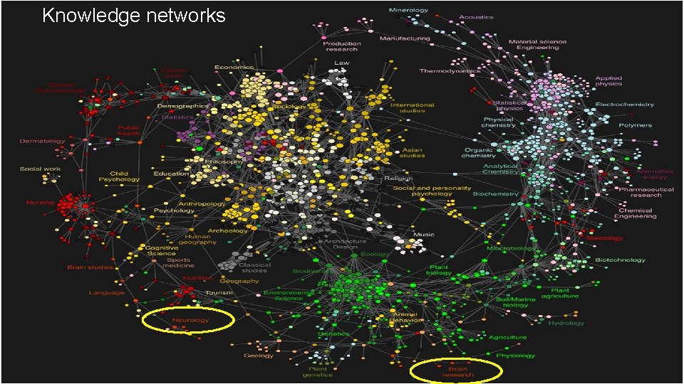 Knowledge networks 