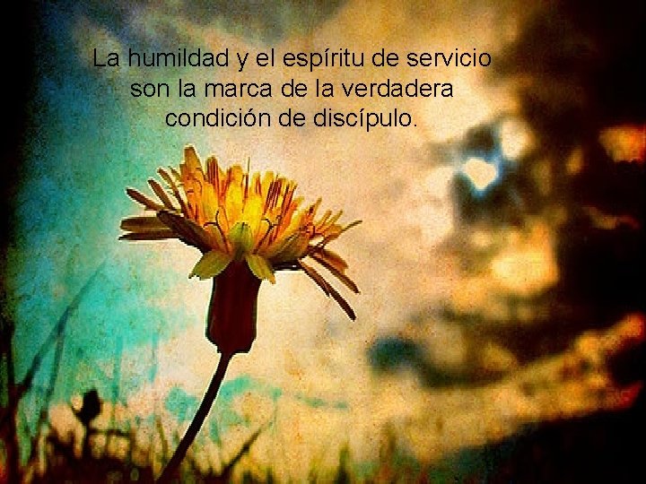 La humildad y el espíritu de servicio son la marca de la verdadera condición