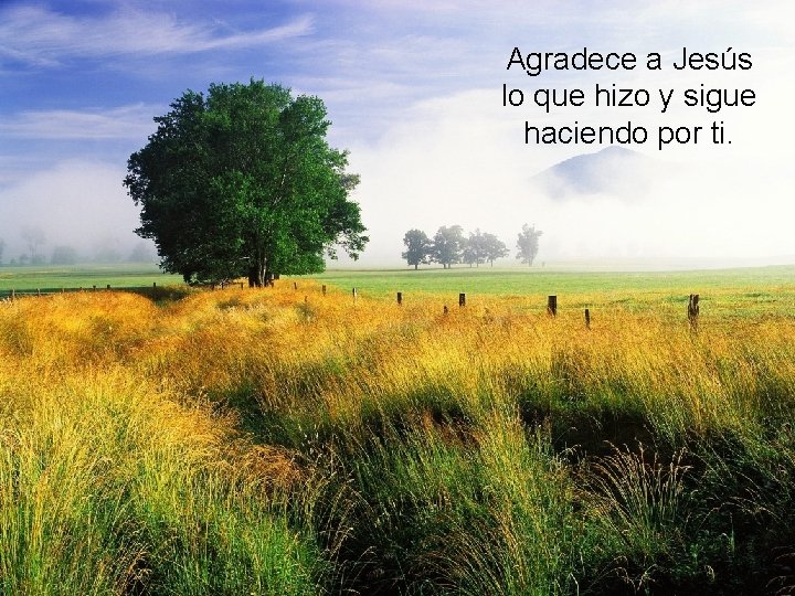 Agradece a Jesús lo que hizo y sigue haciendo por ti. 
