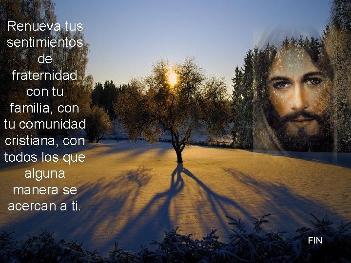 Renueva tus sentimientos de fraternidad con tu familia, con tu comunidad cristiana, con todos