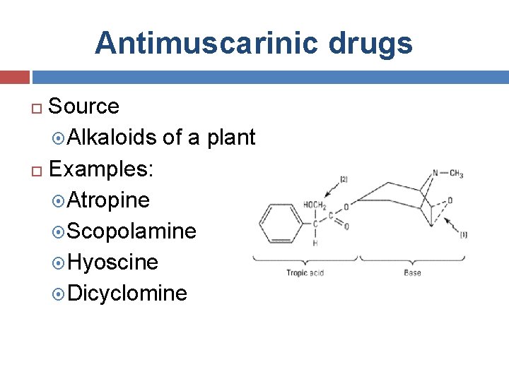 Antimuscarinic drugs Source Alkaloids of a plant Examples: Atropine Scopolamine Hyoscine Dicyclomine 