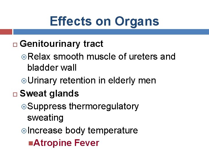 Effects on Organs Genitourinary tract Relax smooth muscle of ureters and bladder wall Urinary