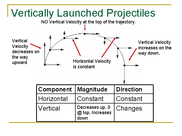 Vertically Launched Projectiles NO Vertical Velocity at the top of the trajectory. Vertical Velocity Vertically Launched Projectiles NO Vertical Velocity at the top of the trajectory. Vertical Velocity