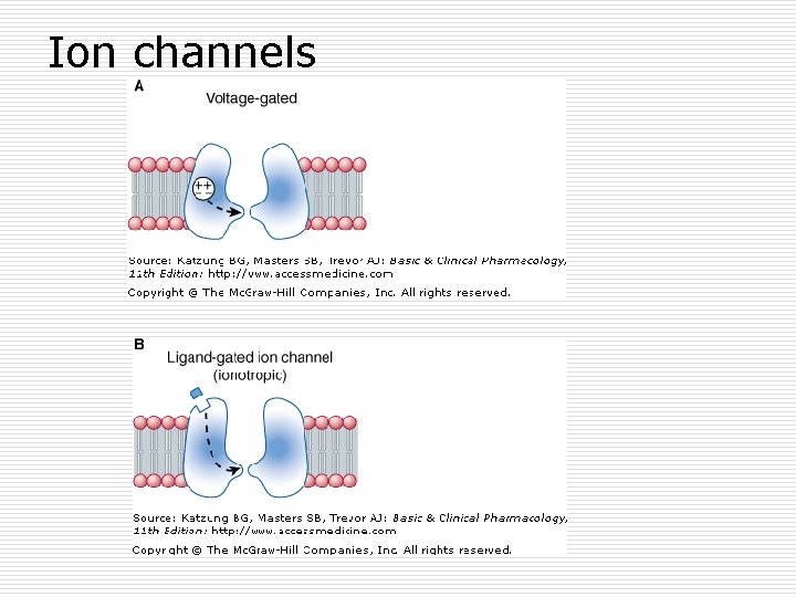 Ion channels 