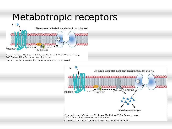 Metabotropic receptors 