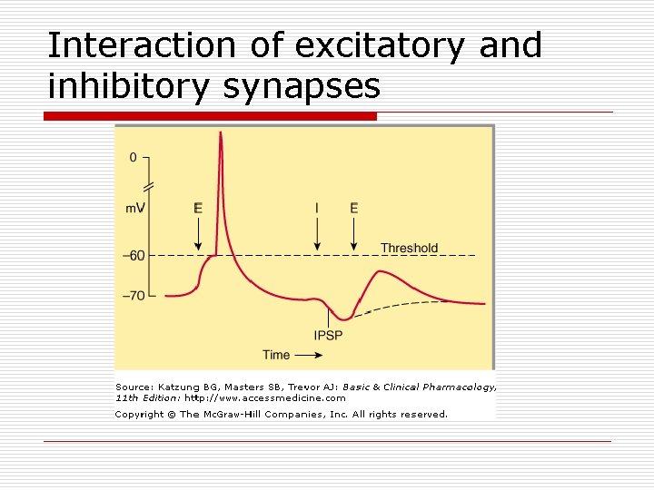 Interaction of excitatory and inhibitory synapses 