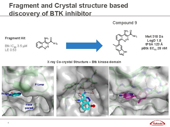 Discovery of a small molecule inhibitor of Burtons