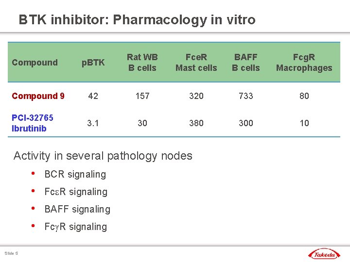 Discovery of a small molecule inhibitor of Burtons