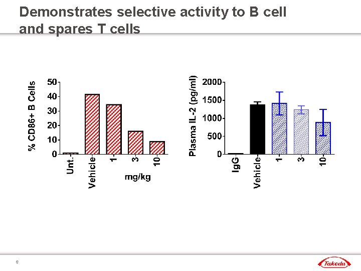 Discovery of a small molecule inhibitor of Burtons