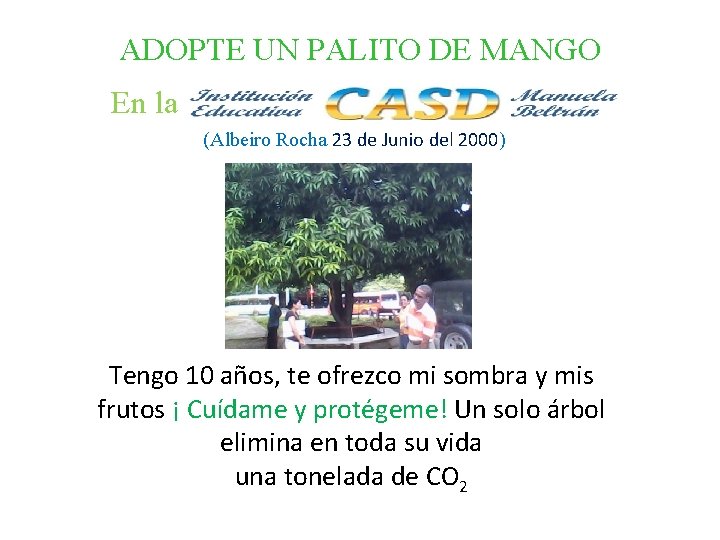 ADOPTE UN PALITO DE MANGO En la (Albeiro Rocha 23 de Junio del 2000)