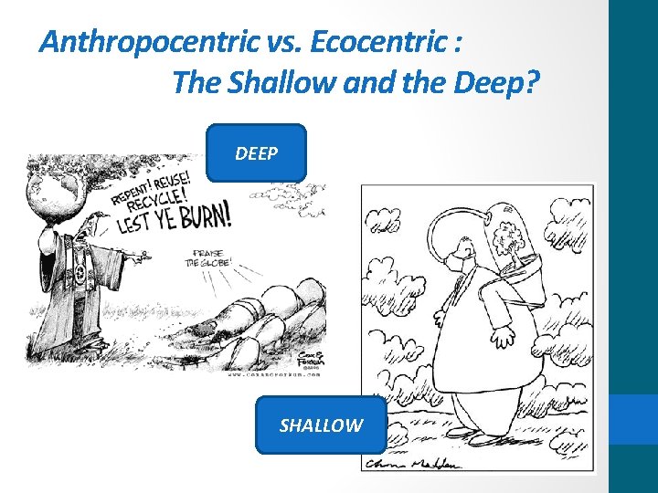 Anthropocentric vs. Ecocentric : The Shallow and the Deep? DEEP SHALLOW 