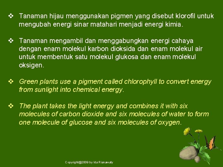 v Tanaman hijau menggunakan pigmen yang disebut klorofil untuk mengubah energi sinar matahari menjadi
