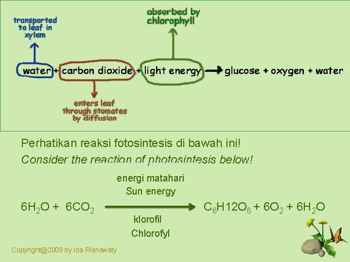 Perhatikan reaksi fotosintesis di bawah ini! Consider the reaction of photosintesis below! energi matahari