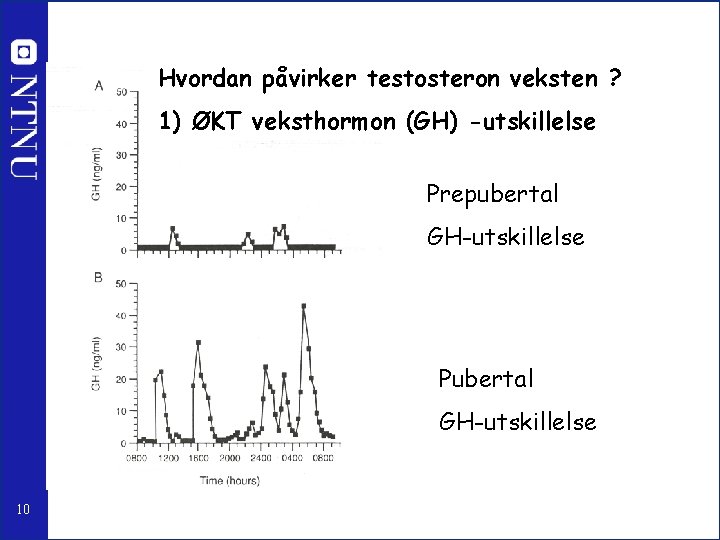 Hvordan påvirker testosteron veksten ? 1) ØKT veksthormon (GH) -utskillelse Prepubertal GH-utskillelse Pubertal GH-utskillelse