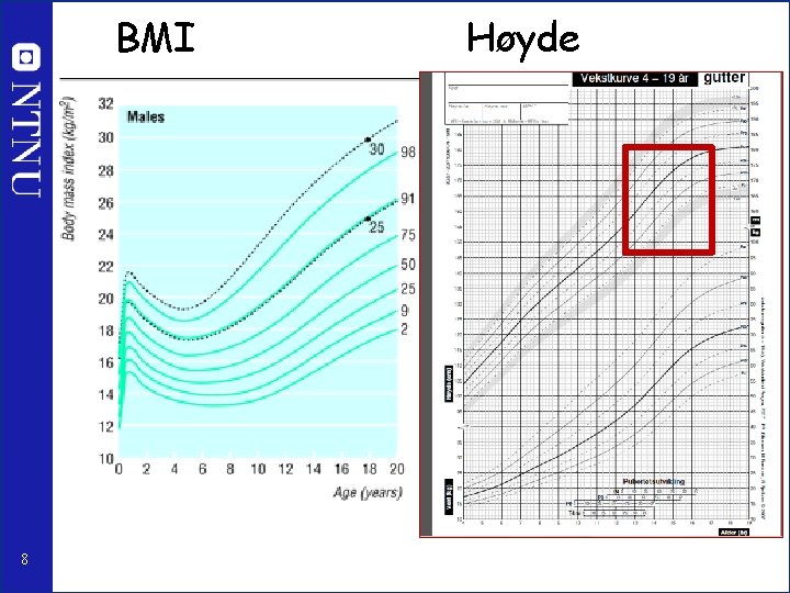 BMI 8 Høyde 