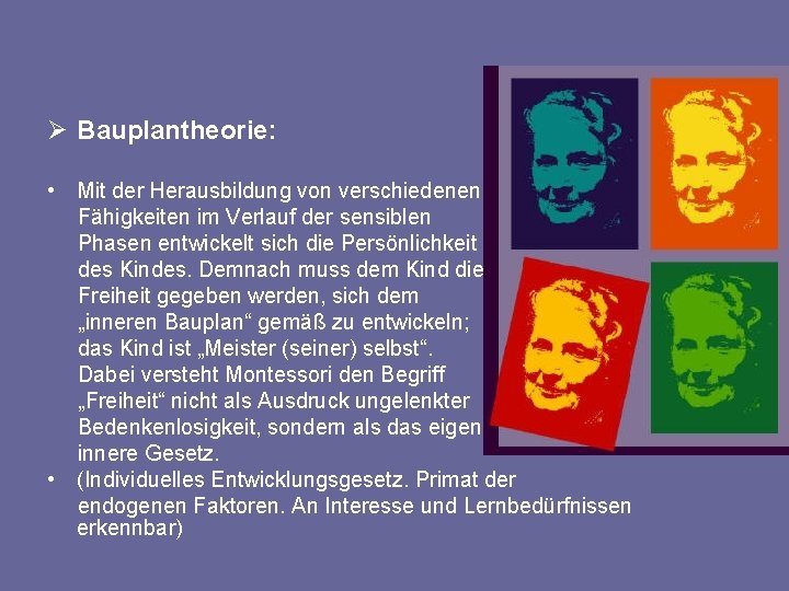 Ø Bauplantheorie: • Mit der Herausbildung von verschiedenen Fähigkeiten im Verlauf der sensiblen Phasen