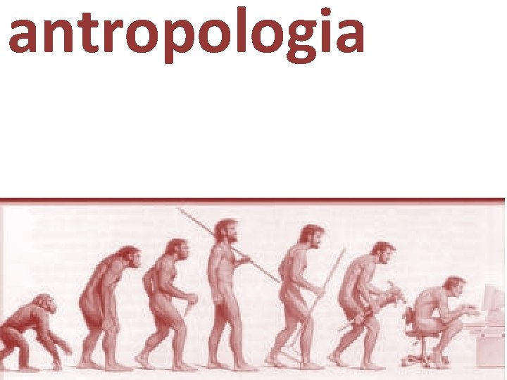 antropologia 