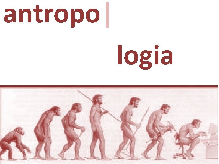 antropo|logia 