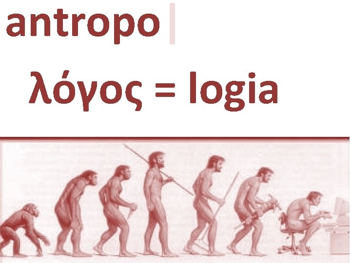 antropo|logia λόγος = logia 