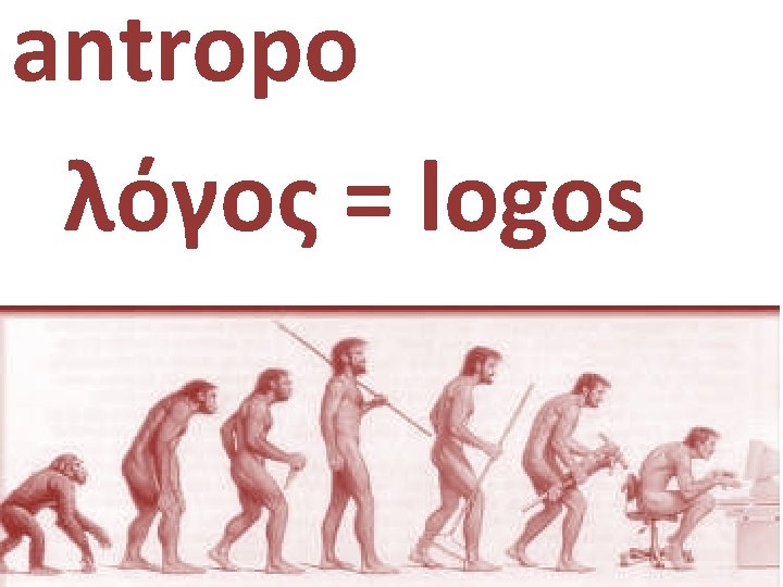 antropo|logia λόγος = logos 