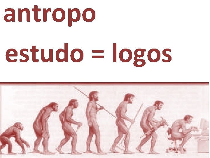 antropo|logia estudo = logos 