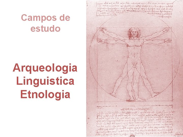 Campos de estudo Arqueologia Linguistica Etnologia 