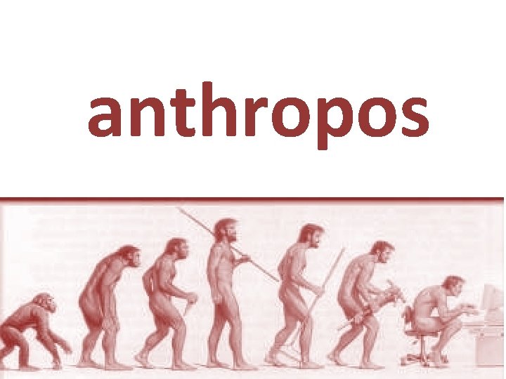 anthropos 