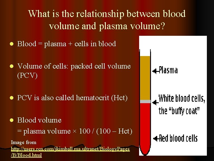 What is the relationship between blood volume and plasma volume? l Blood = plasma