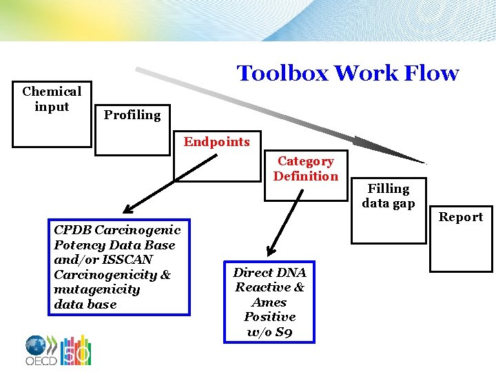 Chemical input Toolbox Work Flow Profiling Endpoints Category Definition CPDB Carcinogenic Potency Data Base
