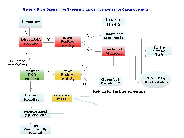 General Flow Diagram for Screening Large Inventories for Carcinogenicity Protein OASIS Inventory Y Direct