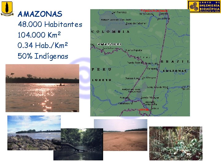 AMAZONAS 48. 000 Habitantes 104. 000 Km 2 0. 34 Hab. /Km 2 50%