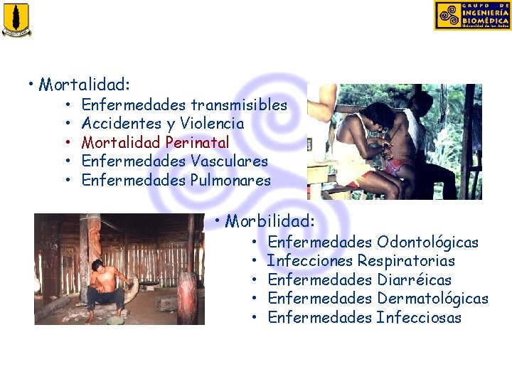  • Mortalidad: • • • Enfermedades transmisibles Accidentes y Violencia Mortalidad Perinatal Enfermedades