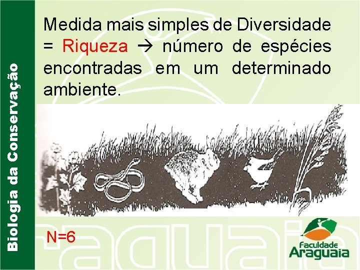 Biologia da Conservação Medida mais simples de Diversidade = Riqueza número de espécies encontradas