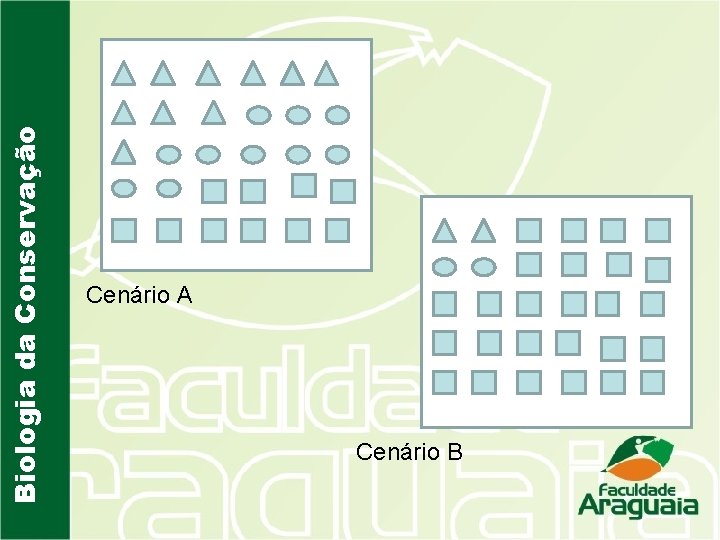 Biologia da Conservação Cenário A Cenário B 