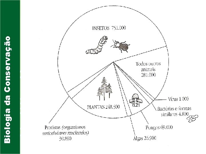 Biologia da Conservação 