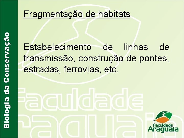 Biologia da Conservação Fragmentação de habitats Estabelecimento de linhas de transmissão, construção de pontes,