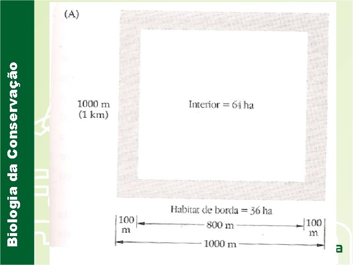 Biologia da Conservação 