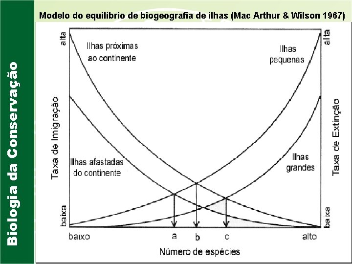 Biologia da Conservação Modelo do equilíbrio de biogeografia de ilhas (Mac Arthur & Wilson