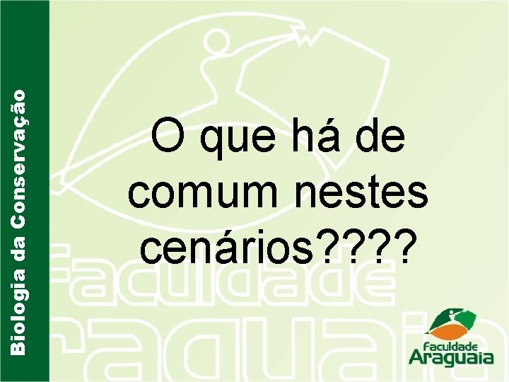 Biologia da Conservação O que há de comum nestes cenários? ? 
