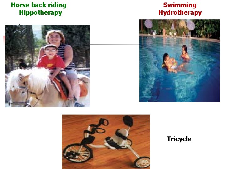 Horse back riding Hippotherapy Swimming Hydrotherapy Tricycle 