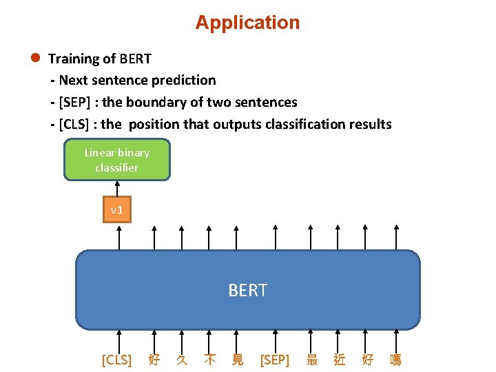 Application l Training of BERT - Next sentence prediction - [SEP] : the boundary