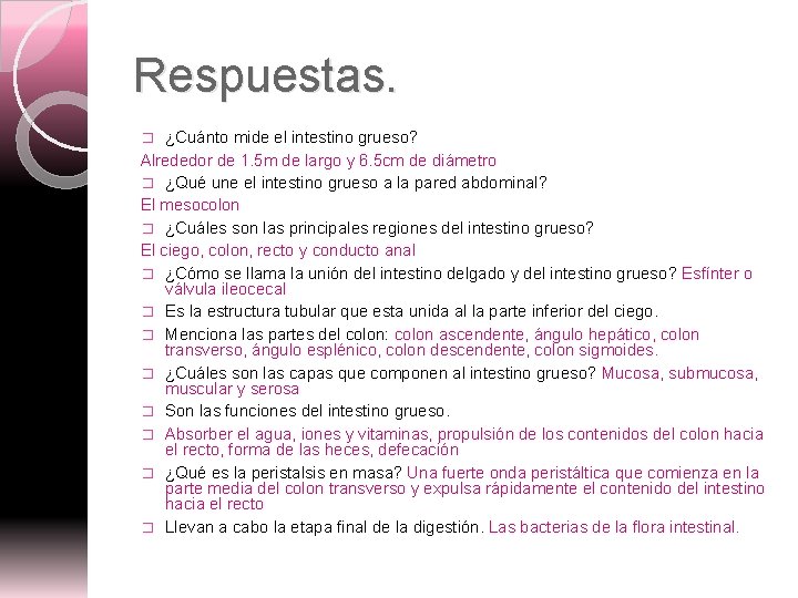 Respuestas. ¿Cuánto mide el intestino grueso? Alrededor de 1. 5 m de largo y