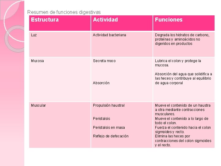 Resumen de funciones digestivas Estructura Actividad Funciones Luz Actividad bacteriana Degrada los hidratos de