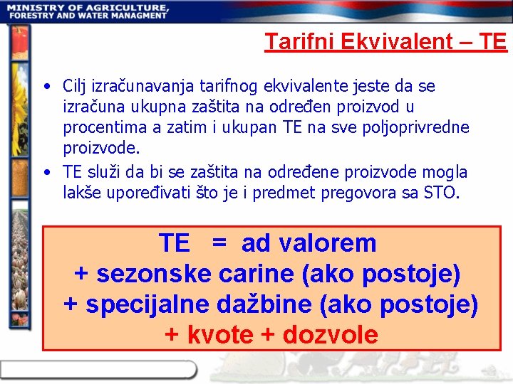 Tarifni Ekvivalent – TE • Cilj izračunavanja tarifnog ekvivalente jeste da se izračuna ukupna