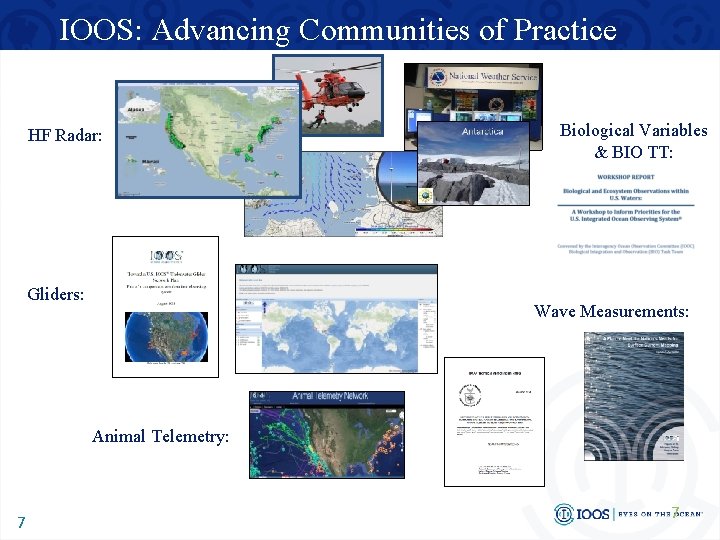 IOOS: Advancing Communities of Practice HF Radar: Gliders: Biological Variables & BIO TT: Wave