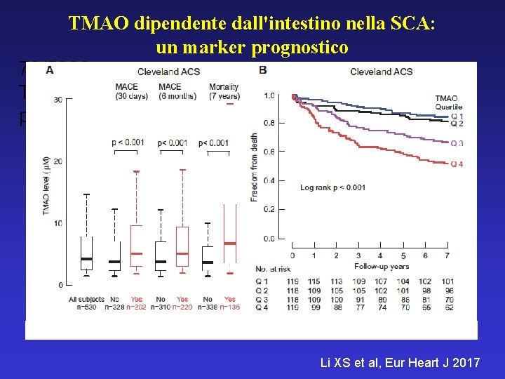 TMAO dipendente dall'intestino nella SCA: un marker prognostico 73/5000 TMAO dipendente dall'intestino in ACS: