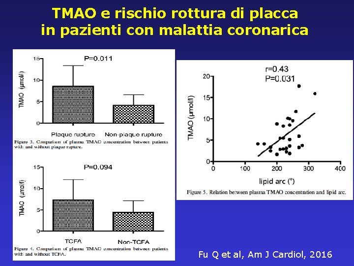 TMAO e rischio rottura di placca in pazienti con malattia coronarica Fu Q et